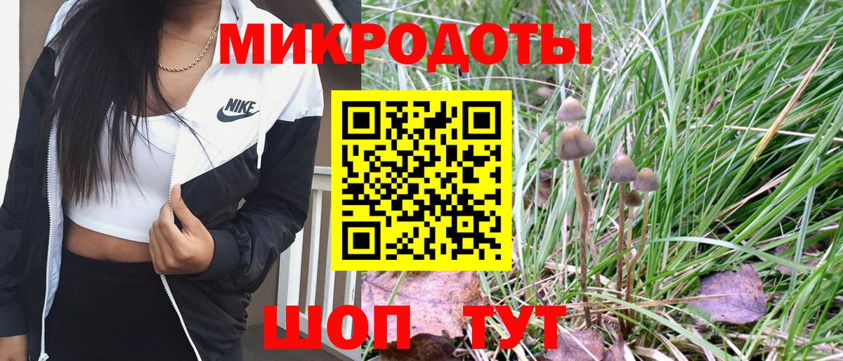 Галлюциногенные грибы Magic Shrooms Чусовой