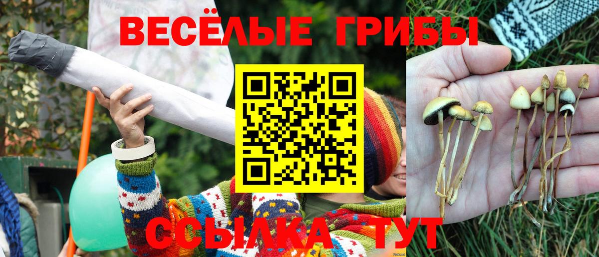 Галлюциногенные грибы Psilocybine cubensis  Галлюциногенные грибы мухоморы  Чусовой  Вход с VPN 