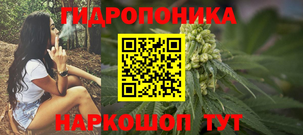 Чусовой  Бошки Шишки OG Kush  Вход с VPN  Марихуана SATIVA & INDICA  Шишки марихуана ГИДРОПОН 